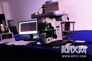 x熒光光譜儀等科學儀器助力文物修復